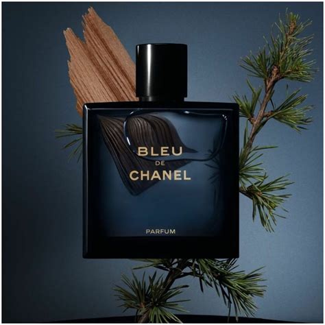 bleu de chanel eau de toilette notes|bleu De Chanel 100 ml.